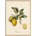 Citronbillede i egetræsramme